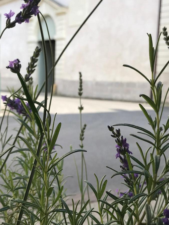 Fontevraud Maison De Ville Bnb Dış mekan fotoğraf